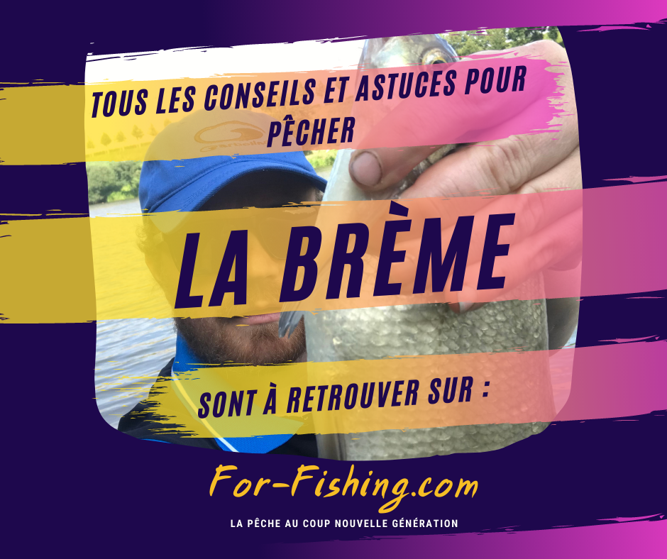 Publicité Instagram